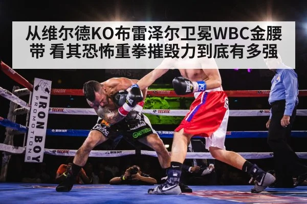 从维尔德KO布雷泽尔卫冕WBC金腰带 看其恐怖重拳摧毁力到底有多强